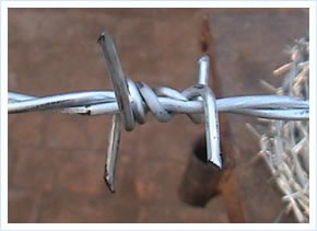 Barbed Wire for sale